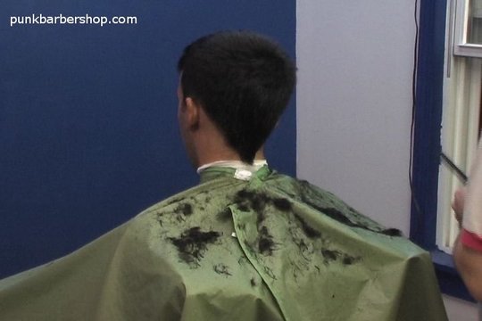 Product picture pbsv 50.wmv