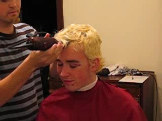 Product picture buzz02.rm